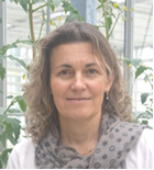 Dr. Hélène GAUTIER